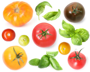 Different fresh tomatoes and green basil isolated on white, set