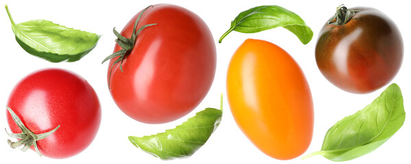 Different fresh tomatoes and green basil isolated on white, set