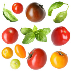 Different fresh tomatoes and green basil isolated on white, set