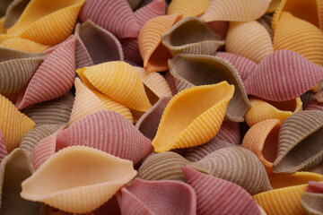 Colorful Conchiglie Pasta Close-up.