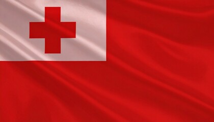 Tonga national flag with red field and white rectangle bearing red cross in upper hoist corner.