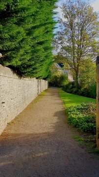 Promenade sur un sentier