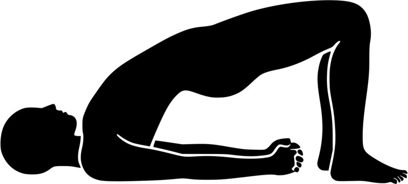 Setu Bandha Sarvangasana: Bridge Pose solid yoga pose vector showing supported backbend with hips raised, knees bent, arms tucked under body, transparent design for yoga, health, flexibility, and anat