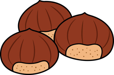 Three fresh brown chestnuts healthy autumn food illustration vector