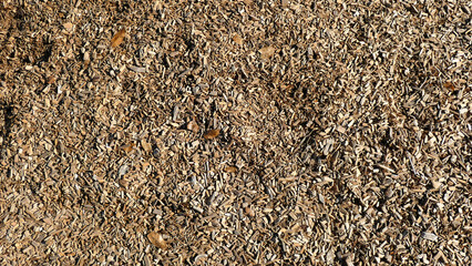 close up of a wooden background