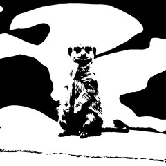 Upright Meerkat Silhouette with Detailed Fur Texture and Alert Expression.