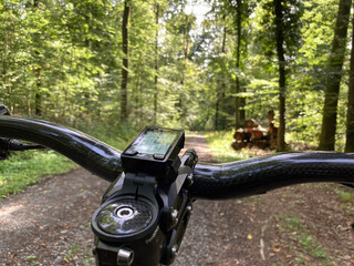 Biking in the forest