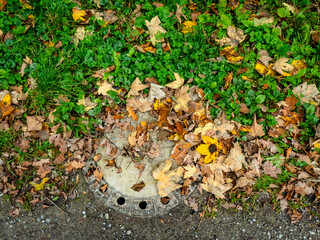 Mit herbstlichem Laub verstopfter Abwasser Schacht