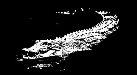 White Silhouette of a Swimming Crocodile with Detailed Textured Skin and Open Jaws.