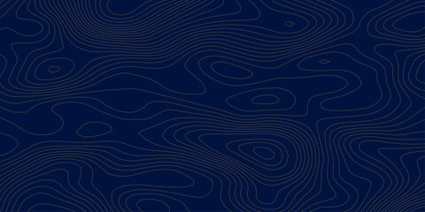 Abstract topographic map lines background. Vector seamless background, subtle pattern. topographic map background concept.