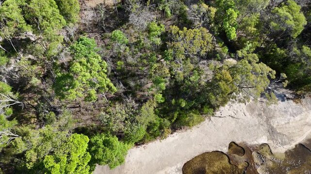aerial drone shot of a beautiful rainforest landscape along the old telegraph track at the iconic Bertie Creek river crossing in tropical north Queensland of Cape York, Australia.