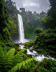 Majestic Waterfall Cascading Through Lush Rainforest.