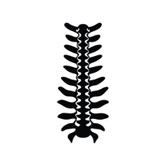 A spine anatomy silhouette vector art illustration