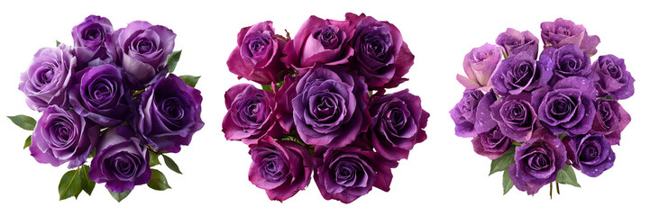 Set of A bouquet of vibrant purple roses with fresh green leaves on transparent png background. Ai generated