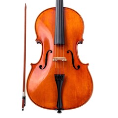 Cello and bow, close-up