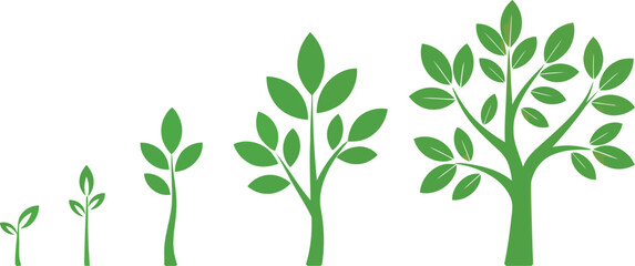 Vector Illustration of Tree Growth Stages from Sprout to Mature.