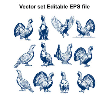 Vector art of vector set of various birds