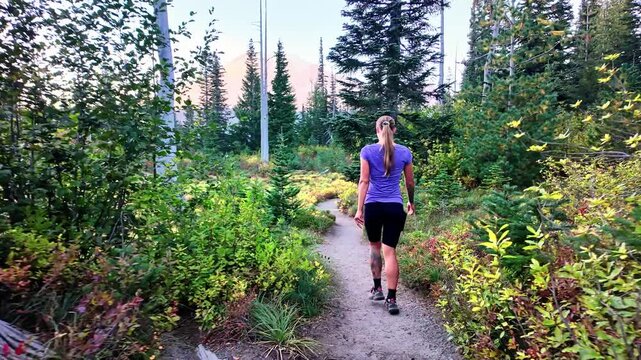 A young woman hikes at dusk through the vibrant fall landscape of the Bench and Snow Lakes Trail in Mount Rainier National Park, surrounded by fiery autumn colors