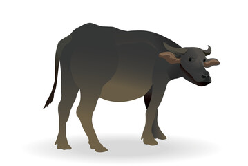 buffalo cartoon  cattle illustration .eps