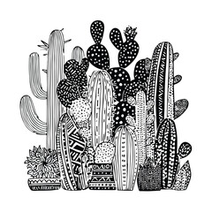 Monochrome cactus patterns in doodle style