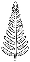 Black and white outline drawing of a stylized plant or fern frond. Simple botanical illustration.