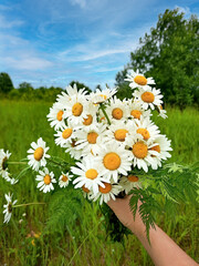 A person is holding a bunch of white flowers