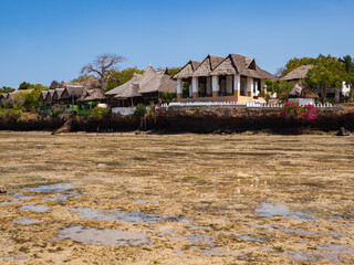 africa