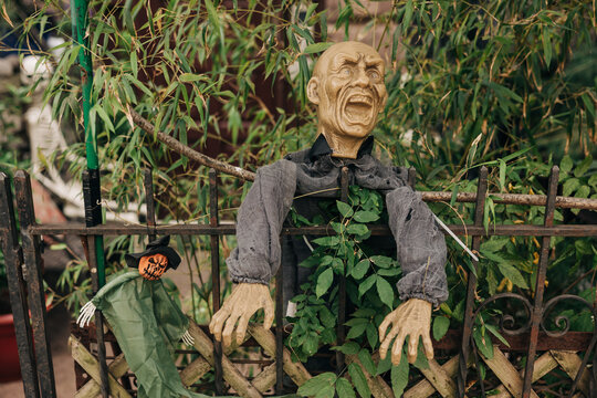 Scarecrow blends horror and humor in an autumn garden, adding charm to the seasonal decor with a touch of fright