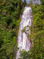Africa