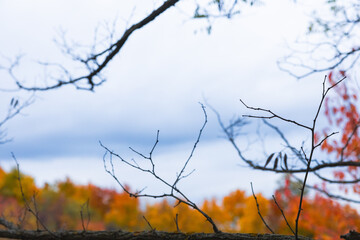 Beautiful autumn landscape with colorful foliage and calm lake reflections. Natural seasonal background with warm golden tones.