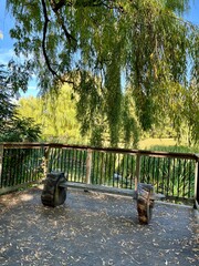 Autumn in full bloom