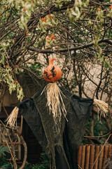 Scarecrow decorated with pumpkin hanging in a garden during fall season celebration