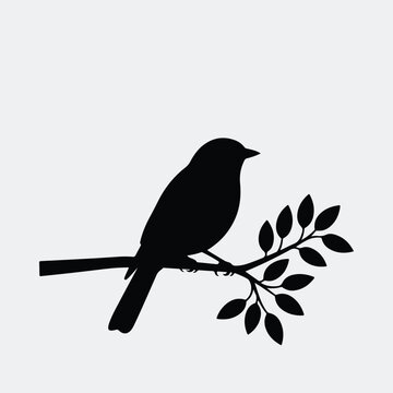Silhouette songbird perched on a branch with leaves vector illustration