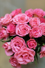 A vibrant bouquet of pink roses with tightly packed petals fills the frame, showcasing their delicate beauty.