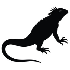  an Iguana Lizard on White Background Vector Illustration