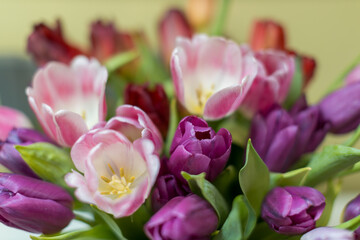 Obraz premium A close-up view of a vibrant bouquet featuring an assortment of pink and purple tulips with green leaves.