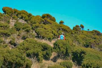Rear view of a hiker against a mountain background on the Elephant Hill hiking trail in the Aberdare Ranges in Kenya 
