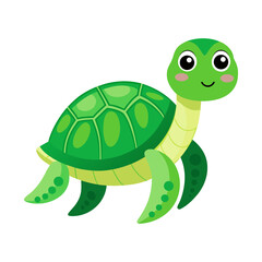 Green turtle on white background