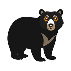 Black bear on white background