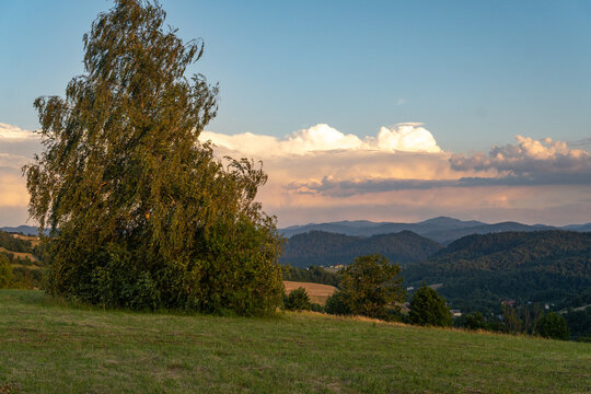 Bieszczadzki krajobraz, w oddali widoczna Połonina Wetlińska i Smerek.