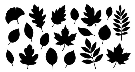 A set of silhouettes of autumn leaves of different shapes on a white background. A collection of autumn leaves from different trees. Seasonal elements for your design. Vector EPS 10.
