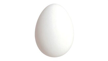 Single White Chicken Egg.