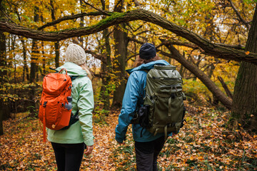 Autumn hiking. Two hikers is walking in forest. Couple with backpacks trekking together in woodland