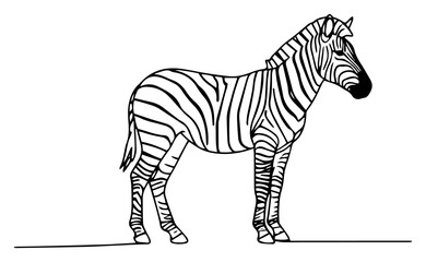 Standing Zebra Line Art – elegant savanna wildlife vector illustration © Luka