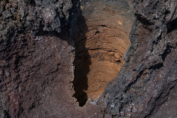 Lava Trees and Tree Molds. Lava Flows and spatter deposits of July 19 to 22, 1974. Chain of Craters Road. Hawaiʻi Volcanoes National Park. 