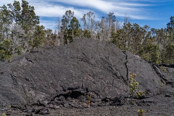 In volcanology, a pressure ridge or a tumulus (plural: tumuli), and rarely referred to as a...