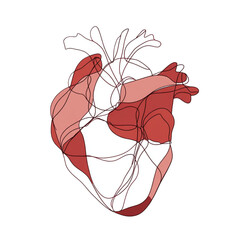 Artistic single line illustration of an anatomical human heart.