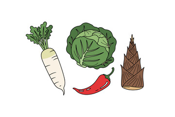 Colorful vegetables illustration: daikon, cabbage, chili, bamboo shoot. Colorful icons set illustrated