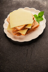 Sandwich cheese tasty snack fresh delicious gourmet food background on the table rustic top view copy space