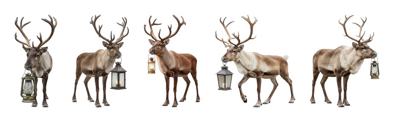 Obraz premium Reindeer set including various poses and lanterns isolated. Christmas and winter holiday collection.
